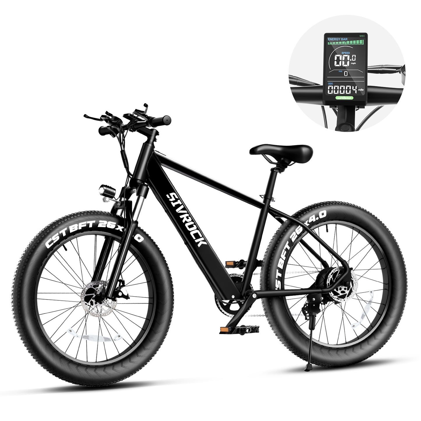 Professional Electric Bike/Electric Mountain Bicycle