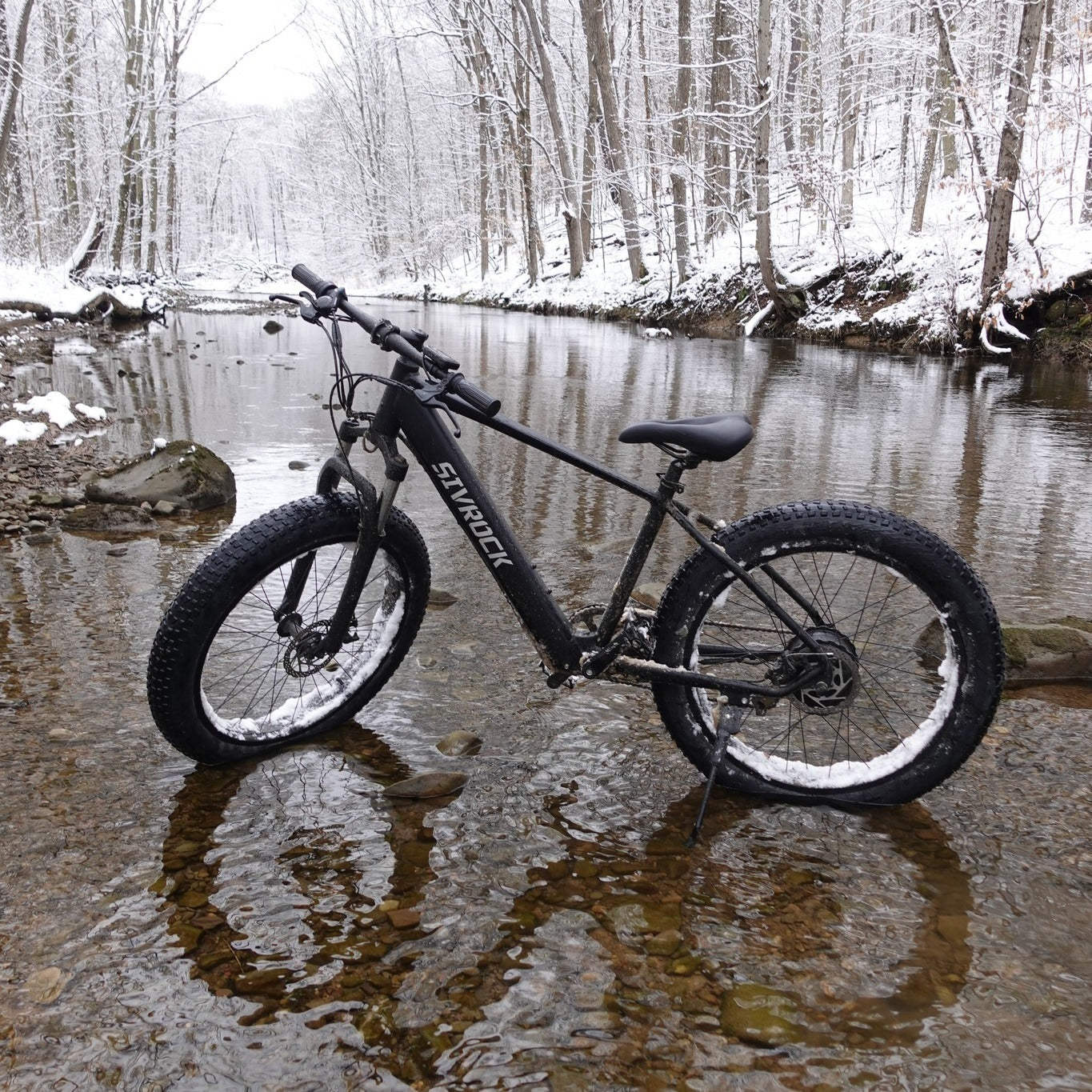 Professional Electric Bike/Electric Mountain Bicycle