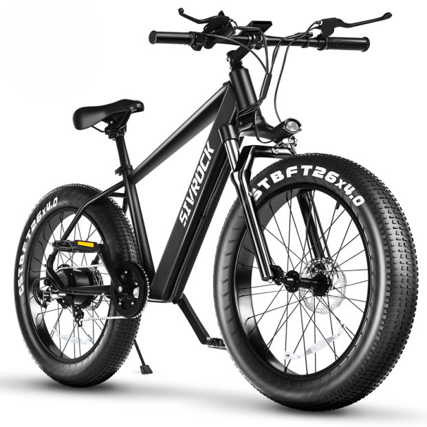 Professional Electric Bike/Electric Mountain Bicycle