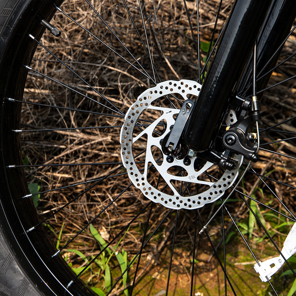 Professional Electric Bike/Electric Mountain Bicycle