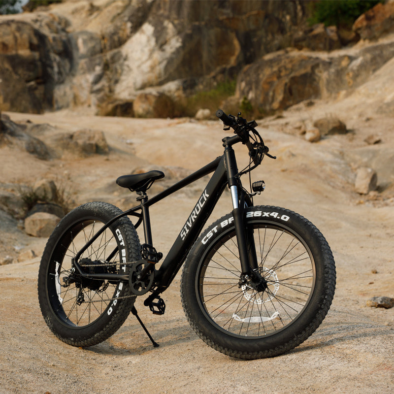 Professional Electric Bike/Electric Mountain Bicycle