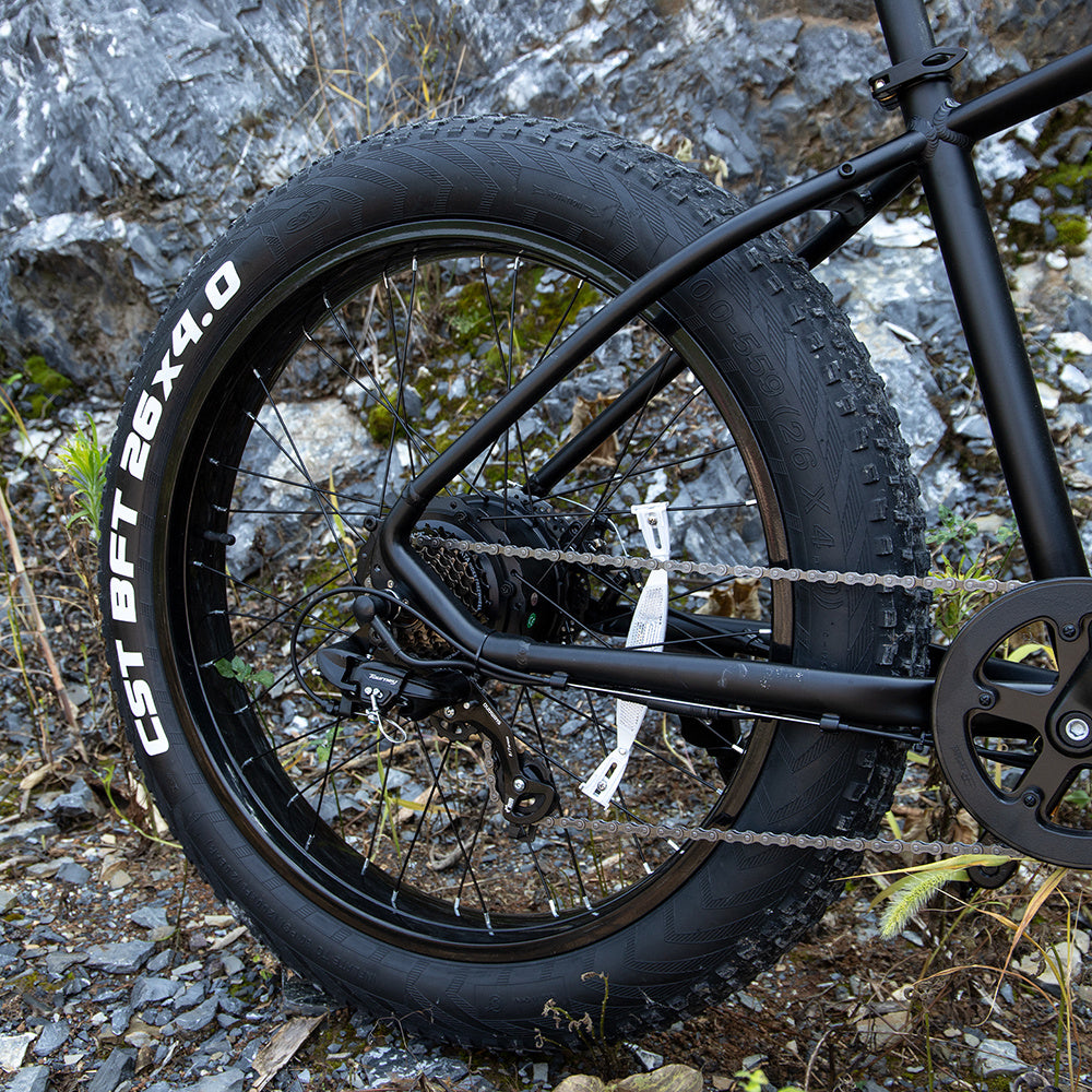 Professional Electric Bike/Electric Mountain Bicycle