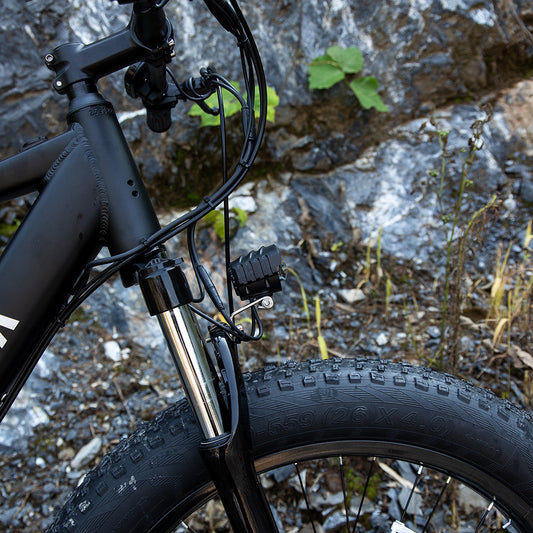 Professional Electric Bike/Electric Mountain Bicycle