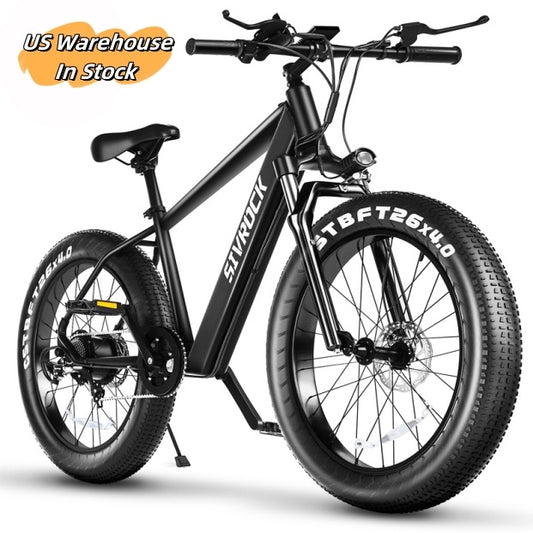 Professional Electric Bike/Electric Mountain Bicycle