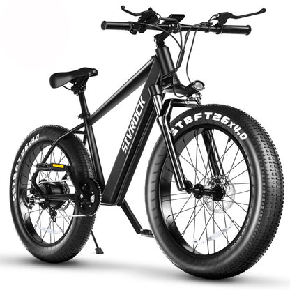 Professional Electric Bike/Electric Mountain Bicycle