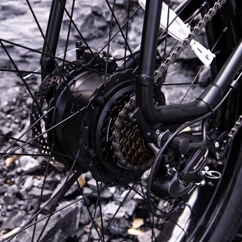 Professional Electric Bike/Electric Mountain Bicycle