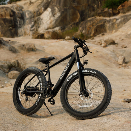 Professional Electric Bike/Electric Mountain Bicycle